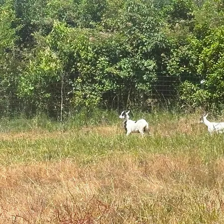 Un Havre De Paix En Pleine Nature Villa *